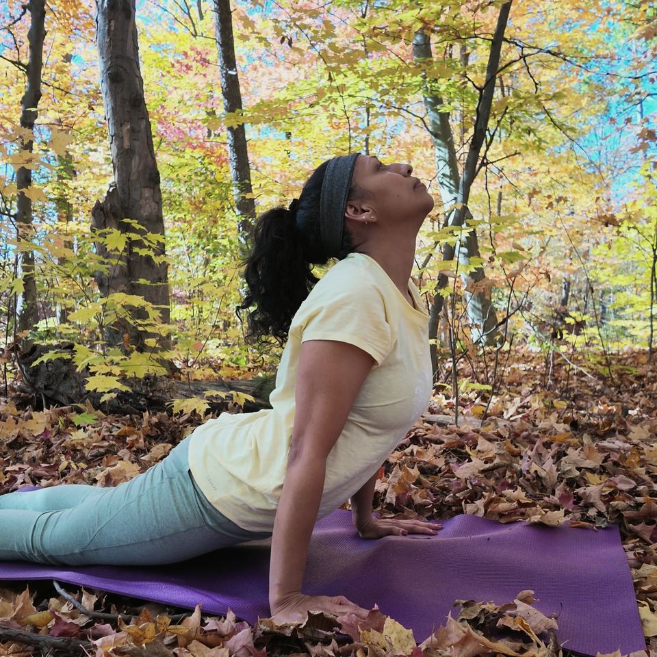 Sneh Lata in upward-facing dog