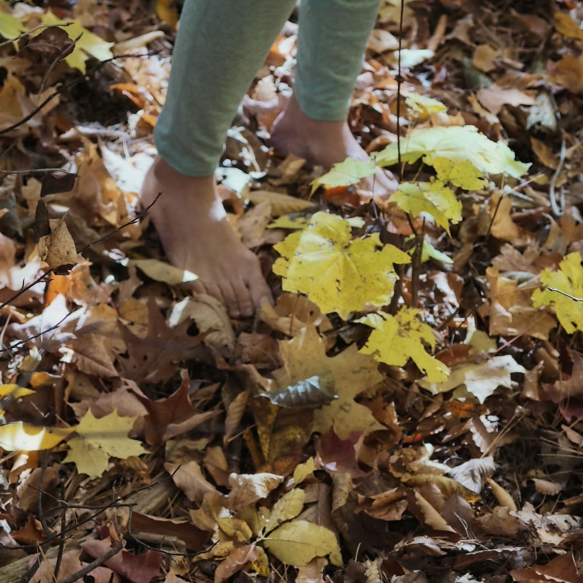 Bare feet standing in fallen maple leaves